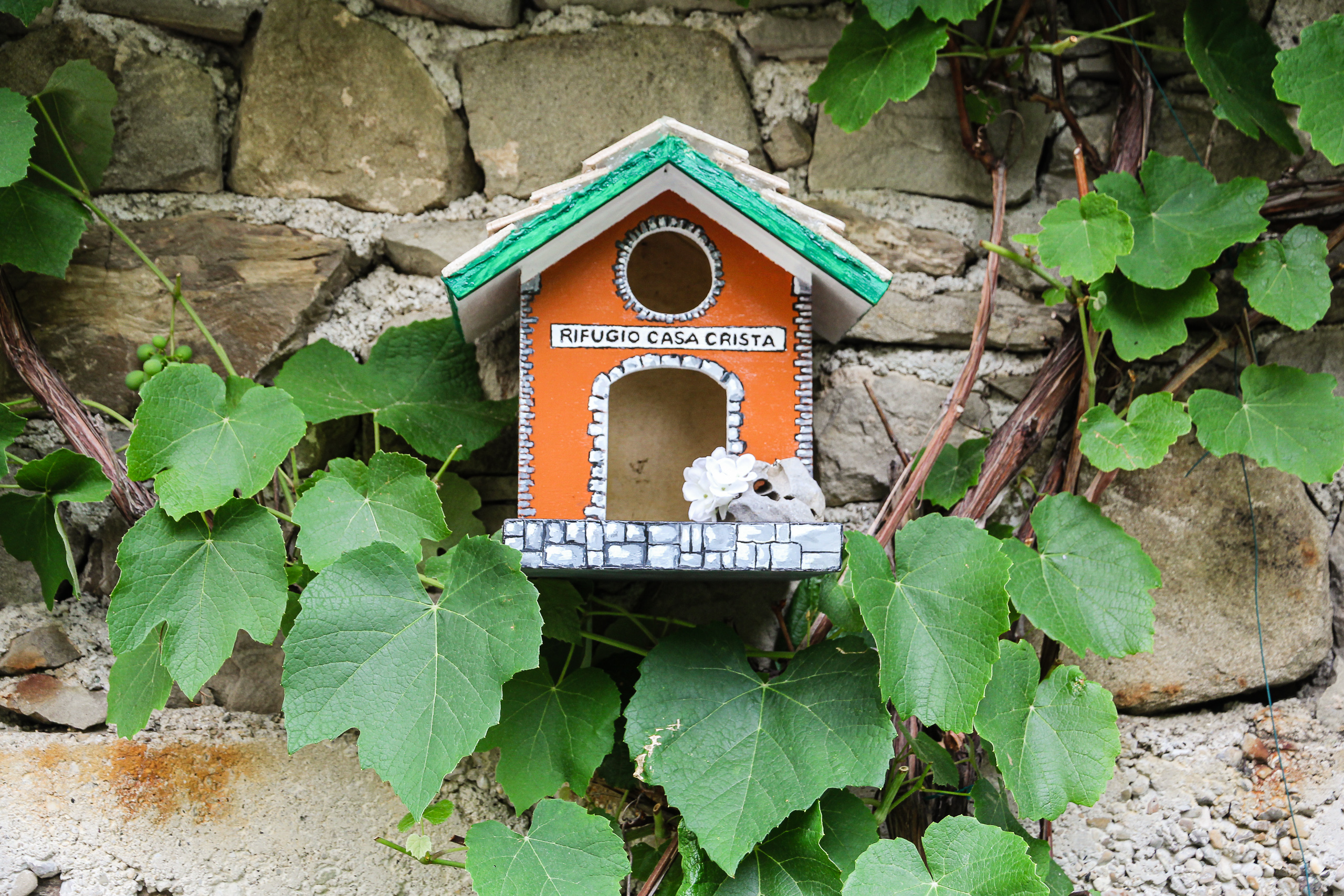 „Rifugio Casa Crista" – ein Vogelhäuschen zwischen Weinblättern